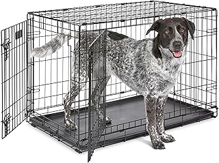 Folding Pet Crate · Reference 01 Market reference