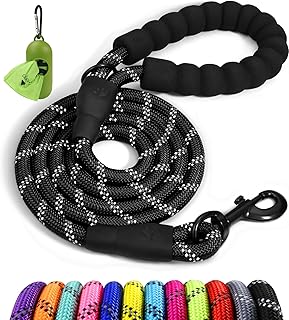 Everyday Pet Leash Planning reference