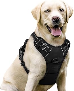 No-Pull Pet Harness Planning reference